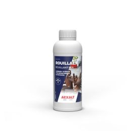 ROUILLAEXBidon - 1 Litre