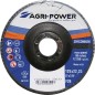 DISQUE A LAMELLES 125X1 GR60 ZIRCONIUM AGRI-POWER