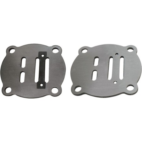 PLAQUES A CLAPETS POUR VF305 JEU DE 2