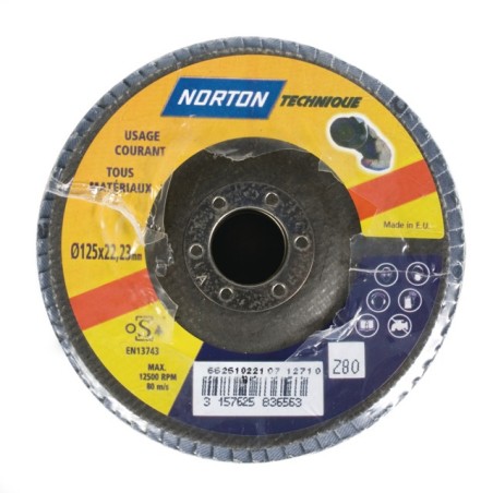 DISQUE À LAMELLES BOMBÉ 125 MM GRAIN 80 BLUE PRO