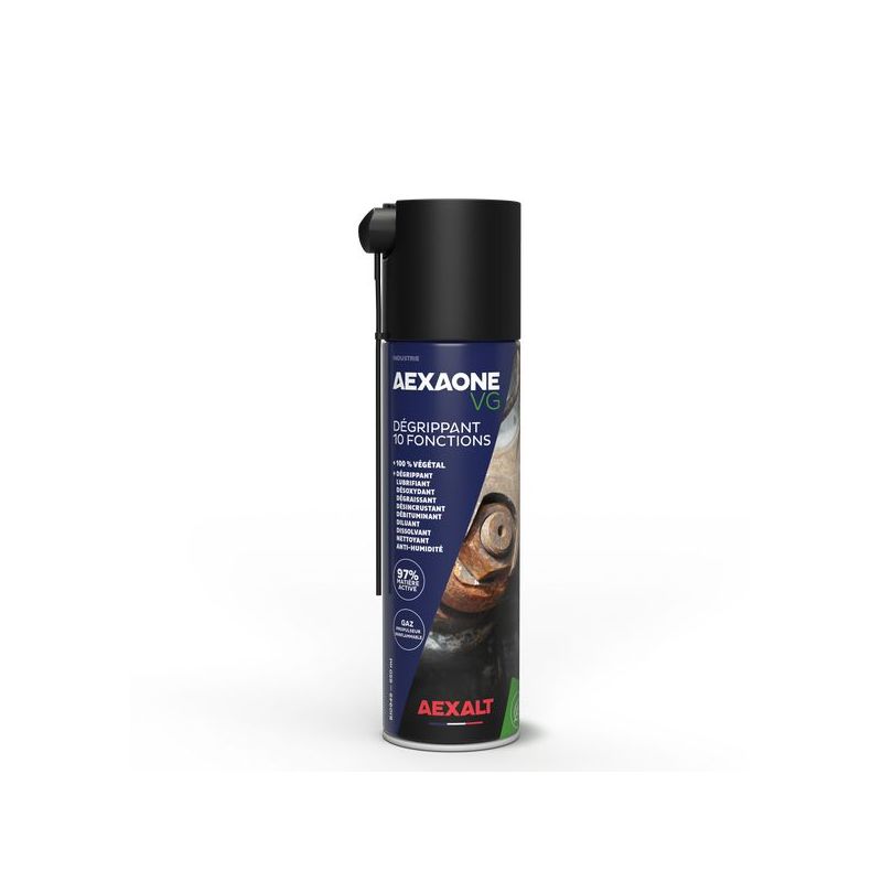 AEXAONE VGAérosol 650 ml AEXAONE VGAérosol 650 ml