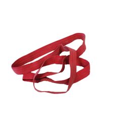 Sangle rouge pour container de 120L à 360L (800X22X2mm)