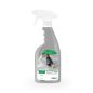 Détachant moquette DETACH'MOK  DAILYK START- Spray de 750ml