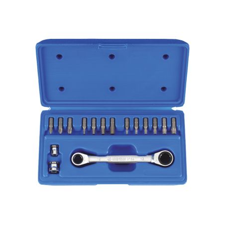 Coffret clé à cliquet porte-embout + 13 embouts