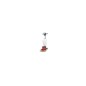 Monobrosse EHFM1015 150trs 1000W 706689 avec plateau + réservoir Monobrosse EHFM1015 150trs 1000W 706689 avec plateau + réservoir