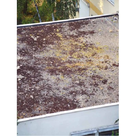 Fongicide Toitures-Terrasses DALEP TT Prêt à l'emploi