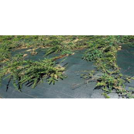 TOILES TISSEES VERTES 130 G