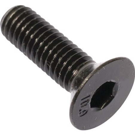 VIS TETE FRAISEE HEXAGONALE CREUX 10X60 BRUT 10.9 BOITE DE 25