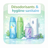 Désodorisants & hygiène sanitaire